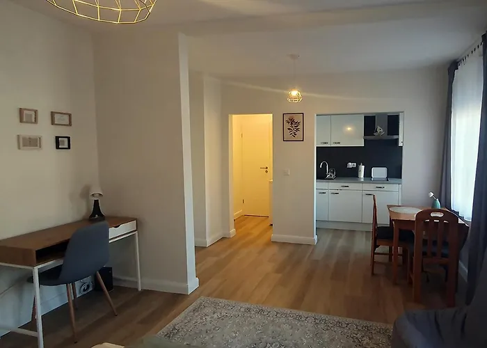 Elegante Einzimmerwohnung